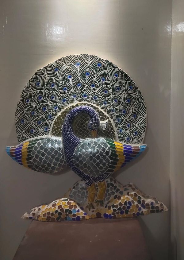 Luxury Peacock Highlighter